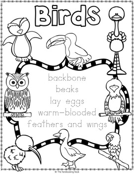 coloring book pages of animal groups