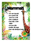 Animal Classification & Characteristics Posters