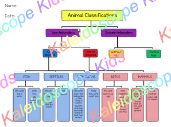 animal kingdom chart for kids