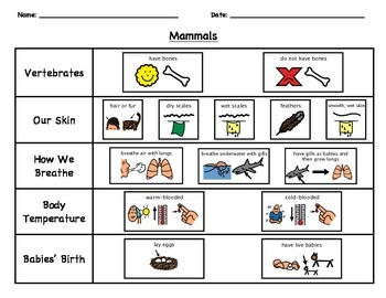Preview of Animal Classification Checklist