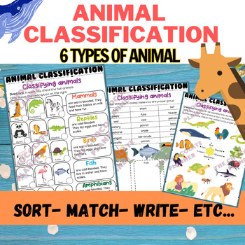 Preview of Animal Classification Sort Colorful worksheet, 6 Animal Groups activities