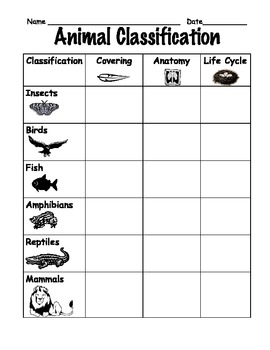 Animal Classifications First Grade Teaching Resources | TPT