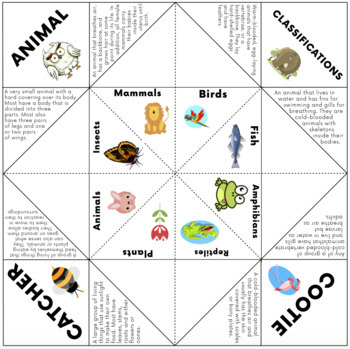 Animal Classification Cootie Catcher Activity by Saving The Teachers