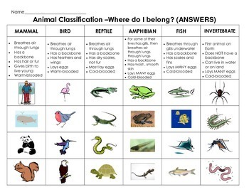 animal pdf worksheet & Sort Paste: Cut by Classification animals Animal