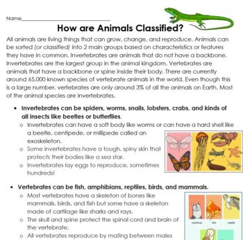 Animal Classification Cut & Paste: Sort animals by characteristics