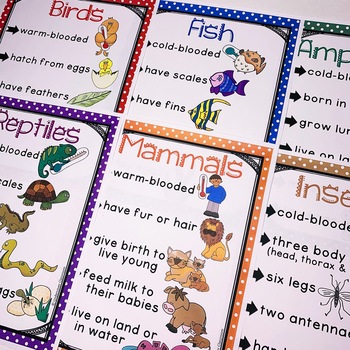 Animal Classification Flip Book Poster Amp Sorting Set By