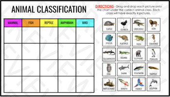 Animal Classficiation Worksheet Teaching Resources | TPT