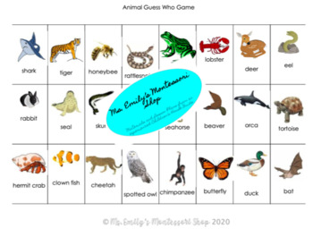 Montessori Homeschool GROUPS OF ANIMALS Science Naming Card Matching Material 