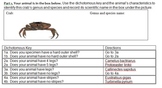 Animal Classification Homework or Quiz