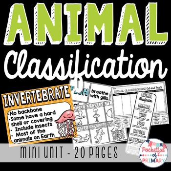 Preview of Animal Classification - MINI UNIT