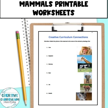 Preview of Identifying and Reviewing Animal Classification of Mammals  Printable Activities