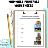 Identifying and Reviewing Animal Classification of Mammals