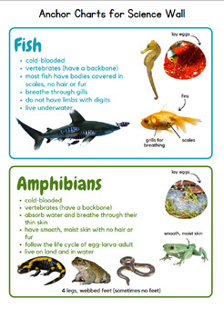 Animal Classification PACK- Fish, Bird, Mammal, Reptile, Amphibian ...