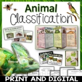 Animal Classification Unit: Vertebrates, Invertebrates, Di