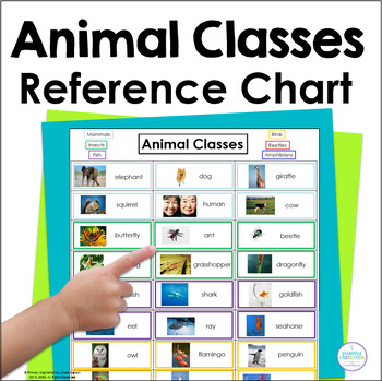 Preview of Animal Classification Photo Reference Chart