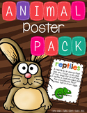 Animal Classification Poster Pack