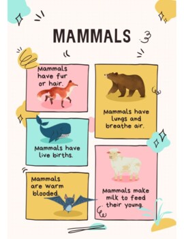 Preview of Animal Classification Posters