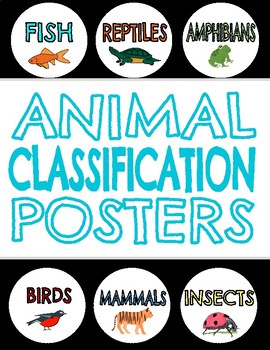 Preview of Animal Classification Posters ~ Reptile, Amphibian, Mammal, Fish, Insect, Bird
