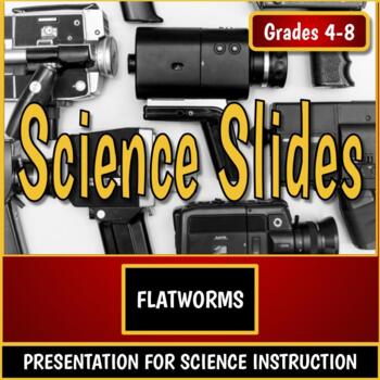 Preview of Fast Slides for Science - Flatworms