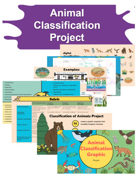 Preview of Animal Classification Project
