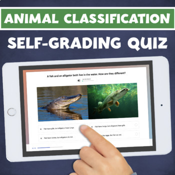 Animal Classification QUIZ Vertebrates Invertebrates Assessment DIGITAL