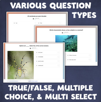 Animal Classification QUIZ Vertebrates Invertebrates Assessment DIGITAL