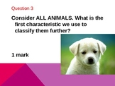 Animal Classification Quiz