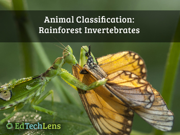 Preview of Animal Classification: Rainforest Invertebrates Distance Learning PDF