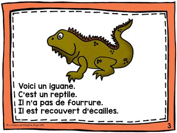 French Animal Classification Reader Les Reptiles - 