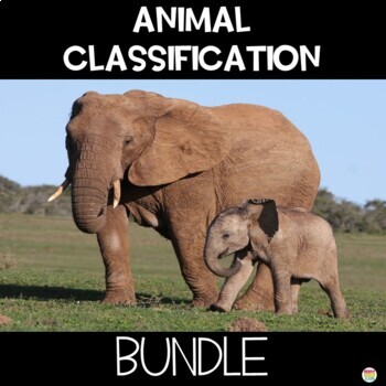 Preview of Animal Classification STEM Activity with Worksheets and Google Slide Lesson 