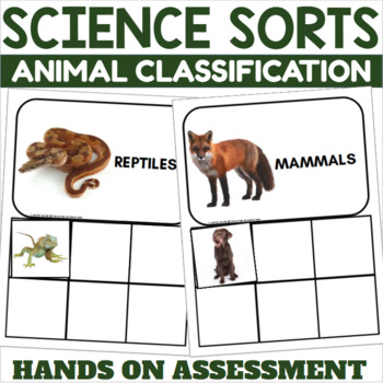 Animal Classification Assessment Teaching Resources | TPT