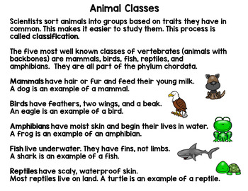 Animal Classification Sort - Mammals, Birds, Fish, Reptiles, and Amphibians
