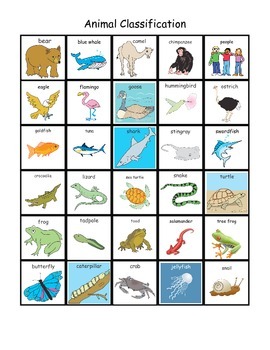 Animal Classification Sorting Board by Interactive Creations | TpT