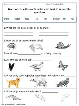 Animals Need For Shelter Teaching Resources | TPT