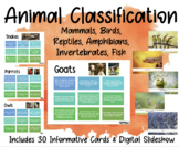 Animal Classification System - Informative Characteristics