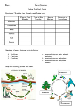 Preview of Animal Classification Test Study Guide