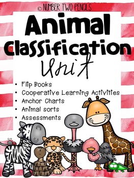 Preview of Animal Classification Unit