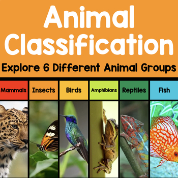Preview of Animal Classification Unit: Mammals, Insects, Birds, Amphibians, Reptiles, Fish