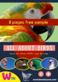 Animal Classification Unit: birds kids worksheet Character