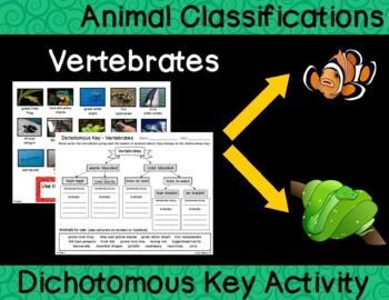 Preview of Animal Classification - Vertebrate Dichotomous Key Activity (3 versions)