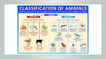 Animal Classification - Vertebrates & Invertebrates - PowerPoint