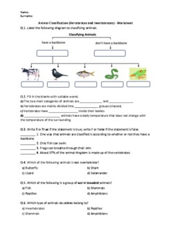 invertebrates classification worksheet