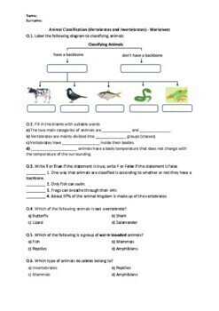 Preview of Animal Classification (Vertebrates and Invertebrates) - Worksheet | Printables