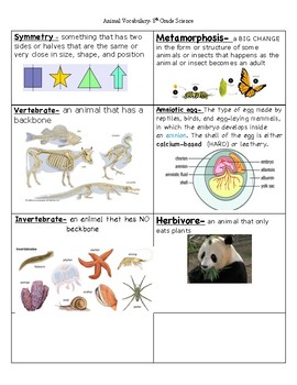 Preview of Animal Classification Vocabulary
