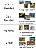 Animal Classification Vocabulary Practice Bundle