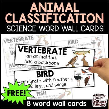 Preview of Animal Classification Vocabulary Word Wall Cards - Elementary Science Classrooms