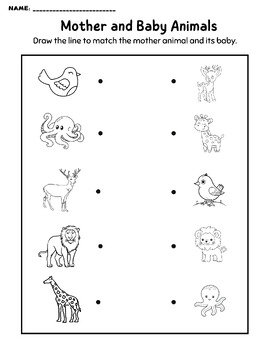 Animal Classification Worksheet, Name, Need, Habitats, etc. for ...