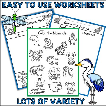 Animal Classification Worksheets and Anchor Charts by Ready Set Learn