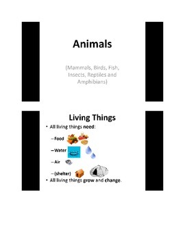 Preview of Animal Classification/Groups PowerPoint Presentation - Primary Grades