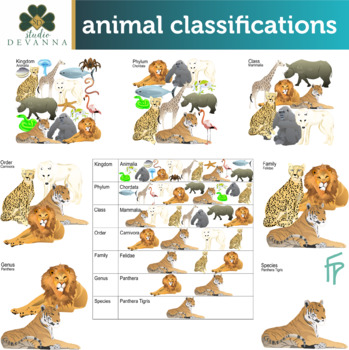 Animal Classifications Clip Art by Studio Devanna | TpT